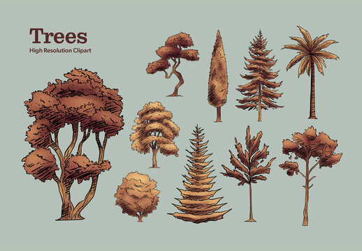 Trees Vintage Map Creator Elements