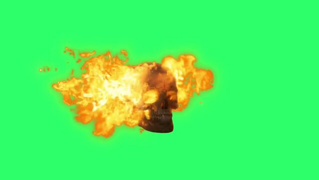 Animation burning skull on green background.