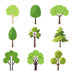 Fototapeta premium Set of flat tree vector illustrations white background for backdrop decoration