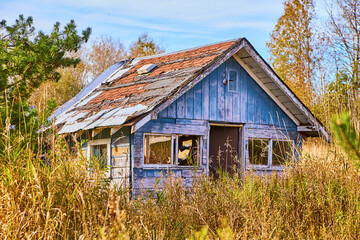 Textured abandoned house chipped blue paint rotting roof and overgrown field with green tree