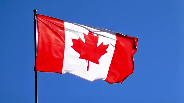 A slow motion waving Canada flag a nice sunny day with a blue sky.