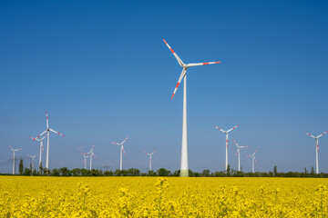 Wind turbines in a flowering canola field seen in Germany