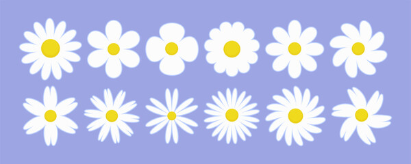 Fototapeta premium Daisy flower vector illustration. White chamomile cartoon retro design. Cute set on violet background.