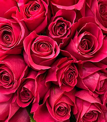 Full frame view of a bouquet of red roses