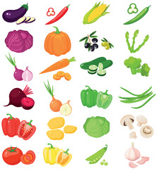 A set of vegetables in cartoon style. The concept of healthy food and products. A bright element for your design.