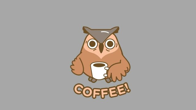 cute owl animation drinking coffee