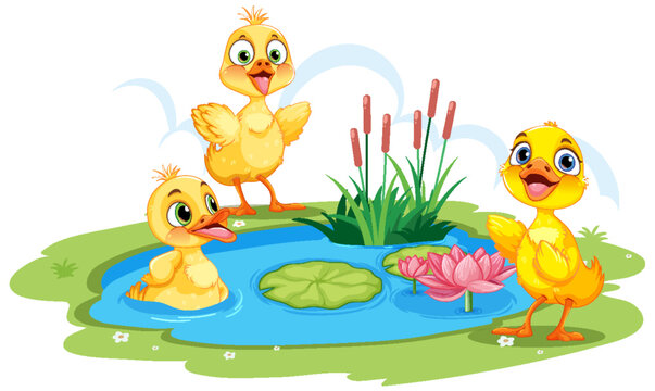 Cute Ducks in the Pond