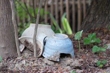 Broken ceramic bowls left in the forest.