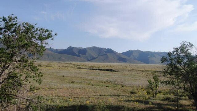 This stock video shows a beautiful summer mountain landscape with sparse vegetation on a sunny day. This video will decorate your projects related to nature, mountains, travel, wildlife.