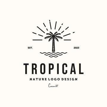 coconut tree sunburst light line art logo vector minimalist illustration design, tropical in the sea symbol design