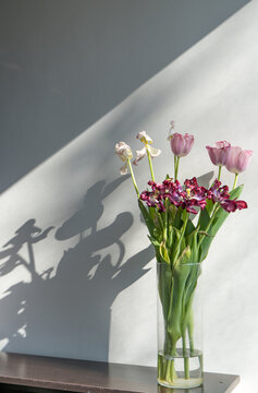 Fading or faded flowers, tulips in the vase on a white minimalistic background
