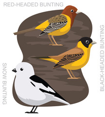 Cute Bird Snow Bunting Corn Crake Cartoon Vector
