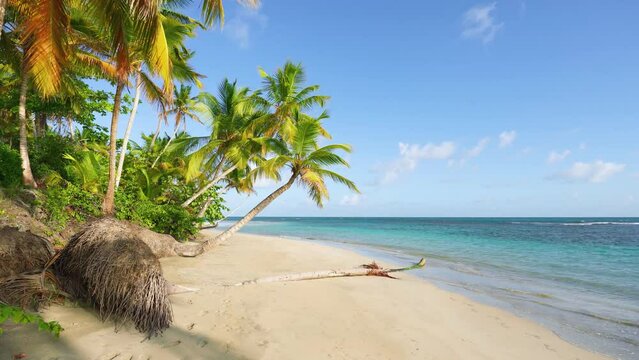 Paradise sunny beach with coconut palms on a sandy beach and blue sea. Popular tourist destination in summer. Beautiful white beaches of a tropical island. Summer travel concept. Rest on the sea.