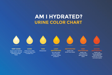 Urine color chart diagram. Vector infographic urine chart illustration - obrazy, fototapety, plakaty