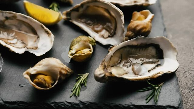 Oysters with Snails on table prepared