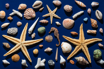 top view of seashells, starfish with hard shadow over deep dark blue background