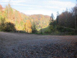 Autumn fields in Bled, Slovenia