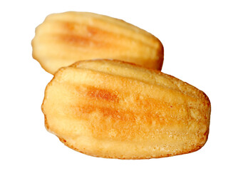 Pair of Mouthwatering Petite Madeleine Cakes Isolated on Transparent Background, PNG File