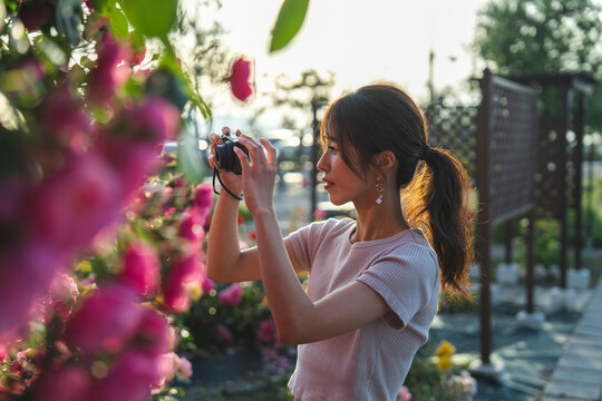 バラの写真を撮る女性