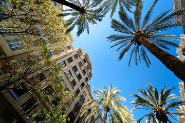 Fototapeta na wymiar Street photography of Valencia in Spain