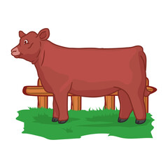 heifer cattle cartoon is preparing for livestock show in the paddock