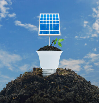 Solar cell and fresh green tree leaves on soil with light bulb over blue sky, Green ecology and saving energy concept