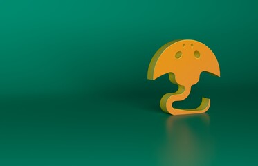 Orange Stingray icon isolated on green background. Minimalism concept. 3D render illustration