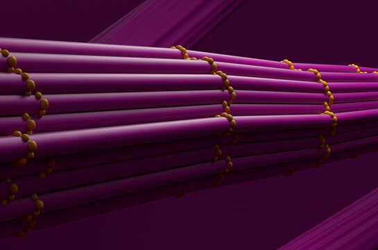 Skeletal muscle tissue in the human body - 3d illustration closeup view
