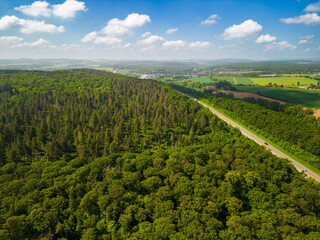 Hoch über dem Billiger Wald