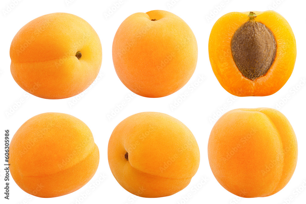 Wall mural apricot isolated on white background, full depth of field - Wall murals