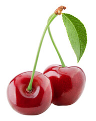 Cherry isolated on white background, full depth of field