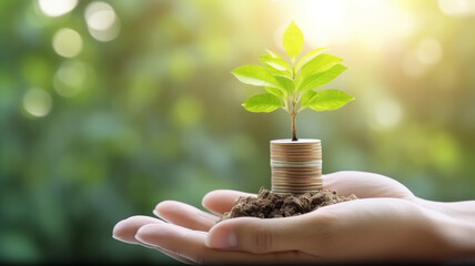 Investment growth background with small tree and stacks of coins