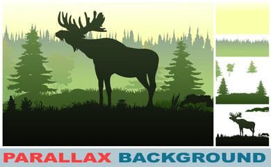 An adult moose stands in meadow near forest. Coniferous trees. Picture layers parallax effect. Nice silhouette. Vector image isolated background.