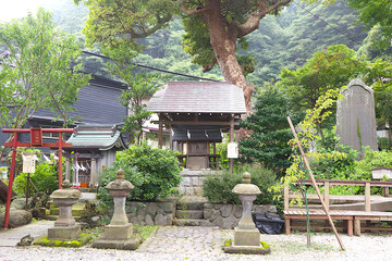An old shrine in the forest