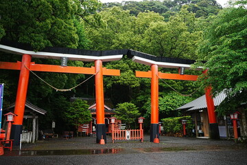 Torii Gate of Suwa-jinja or Shrine in Kagoshima, Japan - 日本 鹿児島 諏訪神社 並立鳥居
