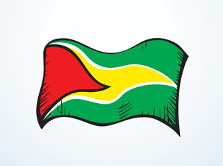Flag of Guyana. Vector drawing icon