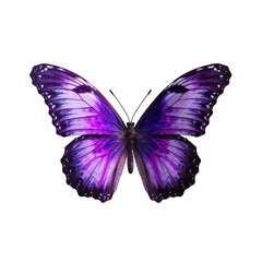 Purple beautiful butterfly on a transparent background. Generative AI