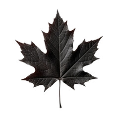 Black maple leaf on a transparent background. Generative AI