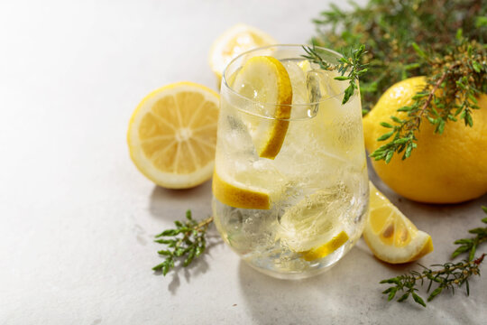 Cocktail Gin-tonic with ice, lemon, and juniper branches.