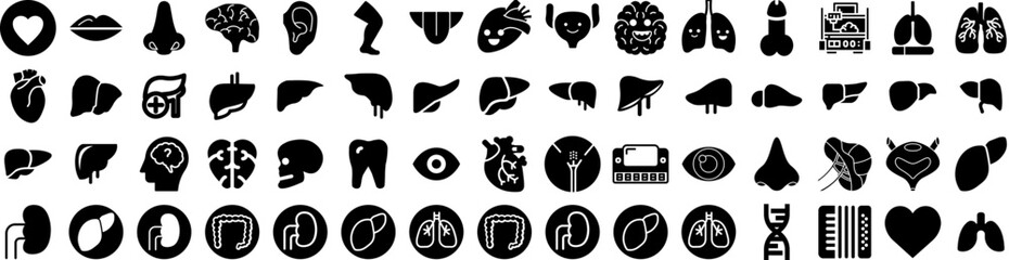 Set Of Organ Icons Isolated Silhouette Solid Icon With Internal, Organ, Stomach, Heart, Health, Medical, Medicine Infographic Simple Vector Illustration Logo