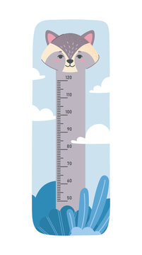 Kids height raccoon chart. Scale or meter with centimeter and raccoon. Wall poster for children room, material for preschoolers. Cartoon flat vector illustration isolated on white background