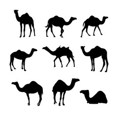 Camel silhouette vector isolated on white background