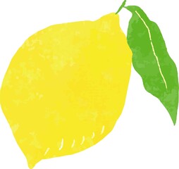 レモン　果実