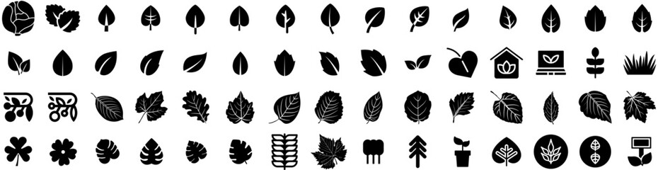 Set Of Leaves Icons Isolated Silhouette Solid Icon With Foliage, Leaf, Isolated, Green, Tree, Plant, Nature Infographic Simple Vector Illustration Logo