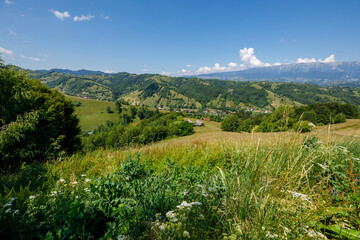 The carpathian landscape at Bran in Romania	