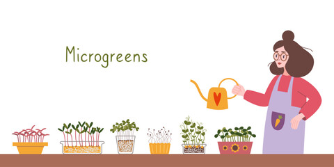 Woman watering  Microgreens at her Indoor kitchen garden, cartoon style.  Cozy activity, gardening hobby. Trendy modern isolated vector illustration, hand drawn, flat
