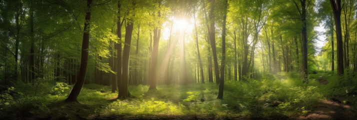 Fototapeta na wymiar Sunbeams Through Green Trees in Forest Panorama Created with Generative AI and Other Techniques