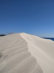 sand dunes in the desert