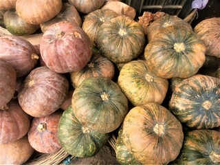 Huge collection of pumpkins for selling