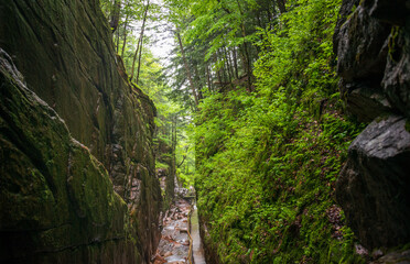 Narrows at Franconia Notch State Park